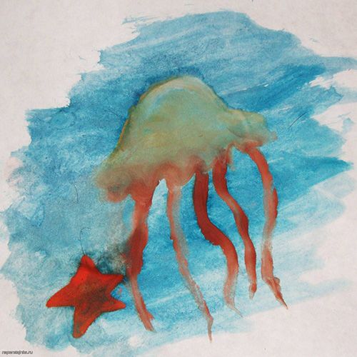 Морская звезда и медуза