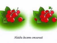 ягоды красной смородины