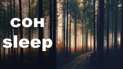 Звуки ночного леса / Sounds of the night forest