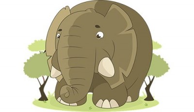 Молодой слон